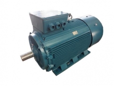 low-voltage large-power 3-phase asynchronous motor series y3(355～450) (ip55)