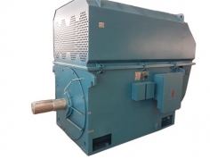 3-phase asynchronous motor series ytm/yhp/ymps for coal mill